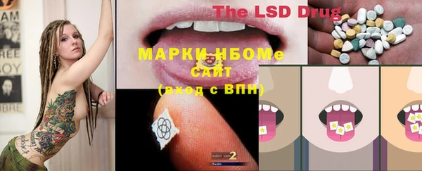 гашик Балахна
