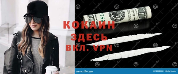 гашик Балахна