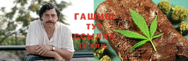 гашик Балахна